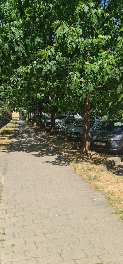 Ybs Apartman Apartamento Zalaegerszeg Exterior foto